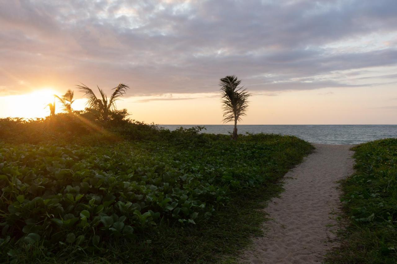 Hotel Coral Beach Tamandaré Zewnętrze zdjęcie